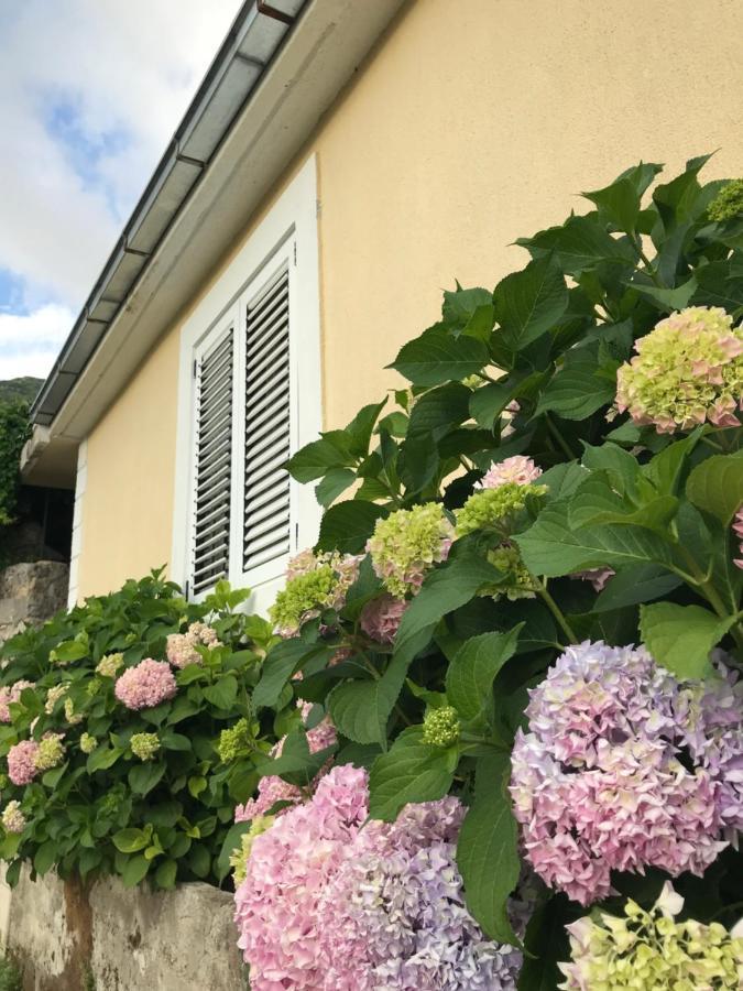 Etno Village Mihailovic Herceg Novi Zewnętrze zdjęcie