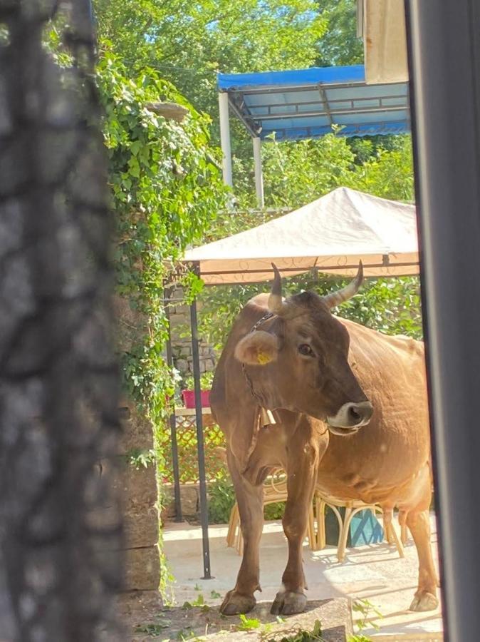 Etno Village Mihailovic Herceg Novi Zewnętrze zdjęcie