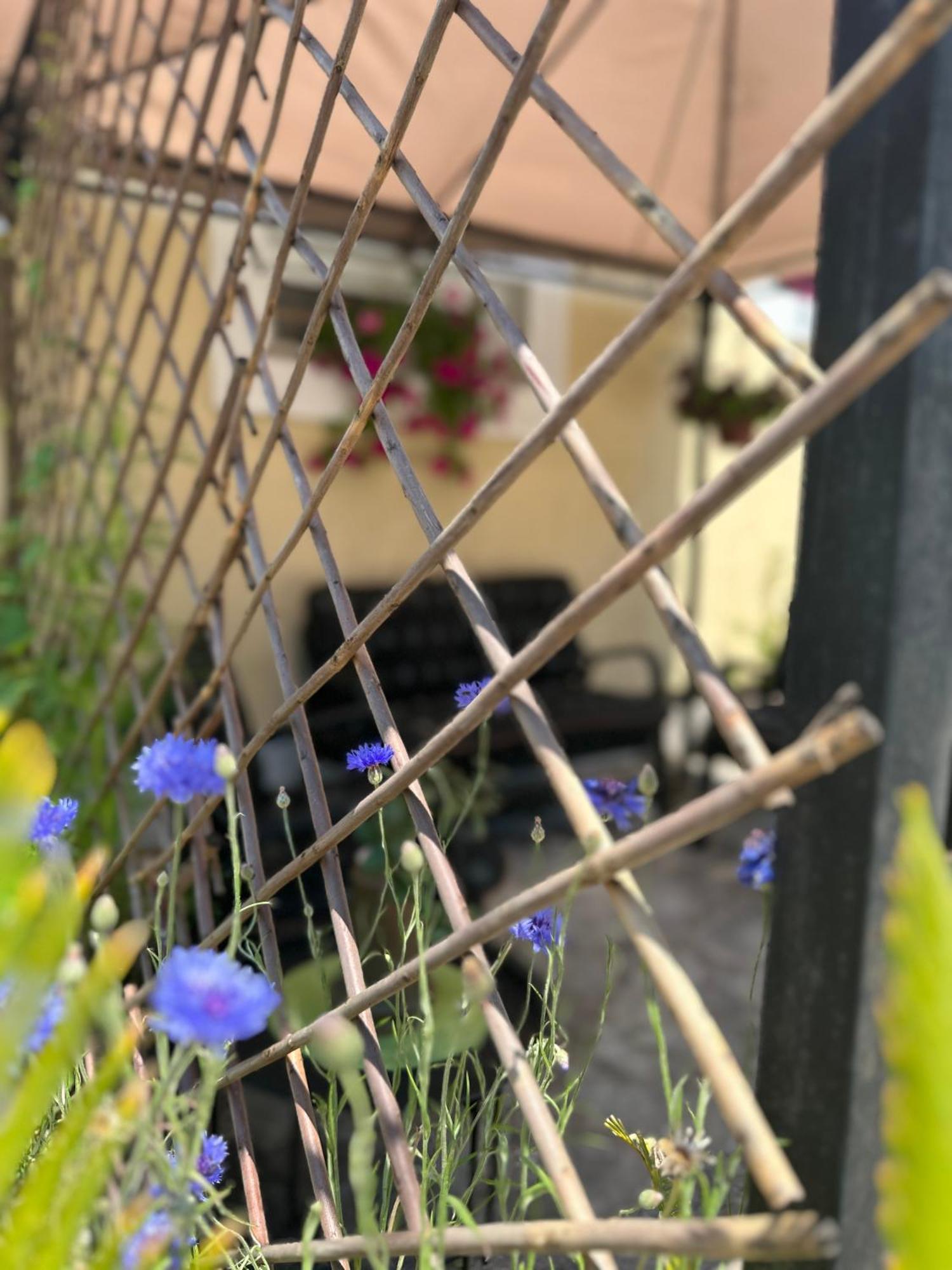 Etno Village Mihailovic Herceg Novi Zewnętrze zdjęcie
