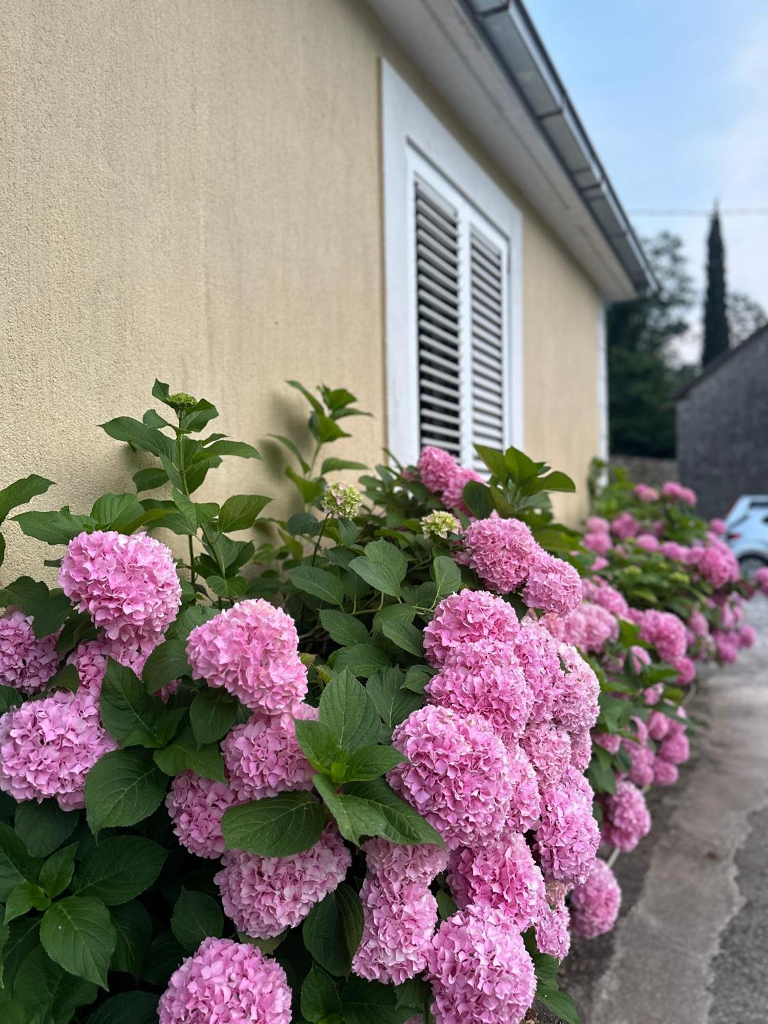 Etno Village Mihailovic Herceg Novi Zewnętrze zdjęcie