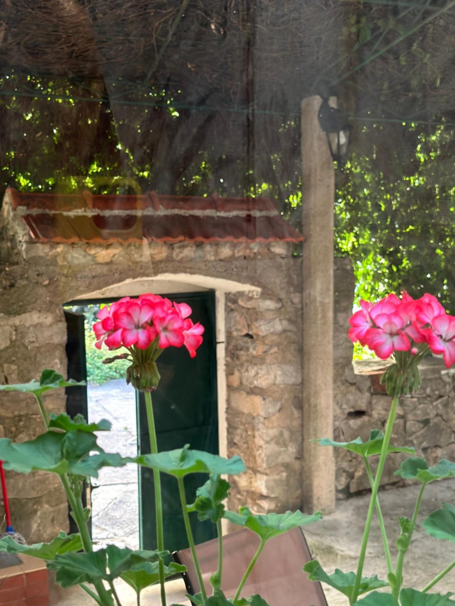 Etno Village Mihailovic Herceg Novi Zewnętrze zdjęcie